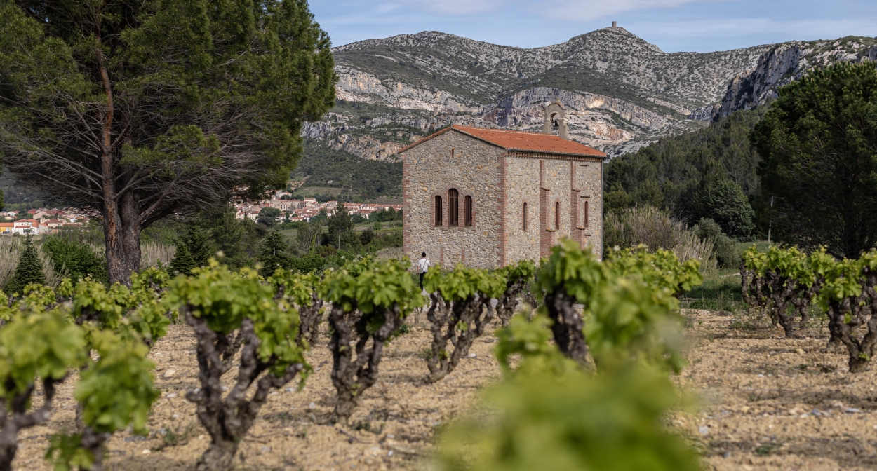 La Route des Vins et des Terroirs le long de l'Agly © Agence Regards croisés Perpignan