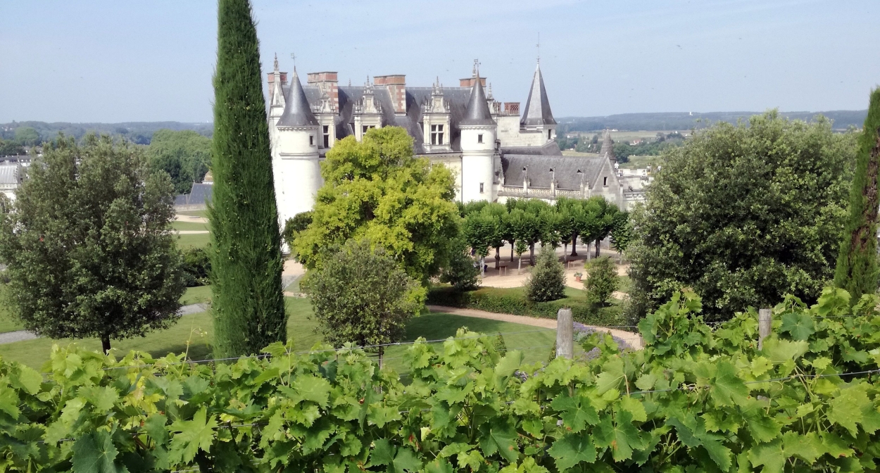 Château royal d'Amboise and its vines © Treney Vanessa_CRTCentreValdeLoire