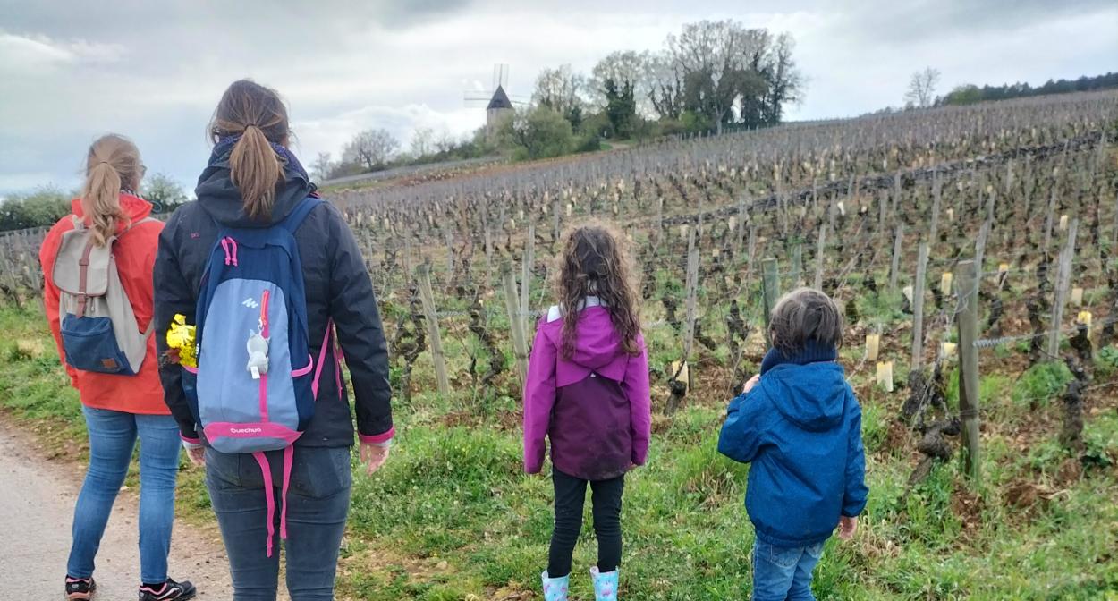 Strolling through the vineyards of Burgundy @ PasduVigneron