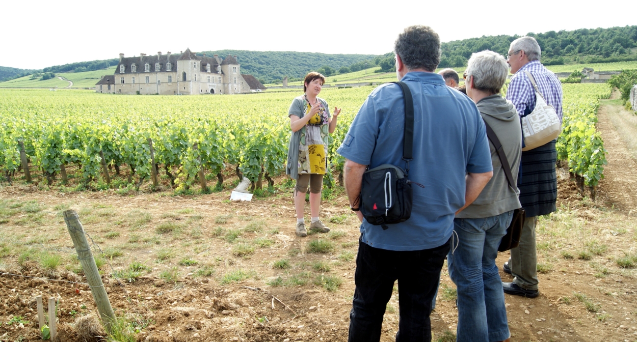 Stroll among the vines of Burgundy with Clos de Vougeot@m Faget