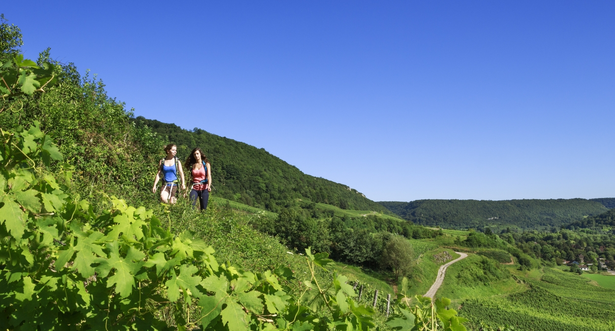 Hiking among the vines of Jura © Jura Tourisme