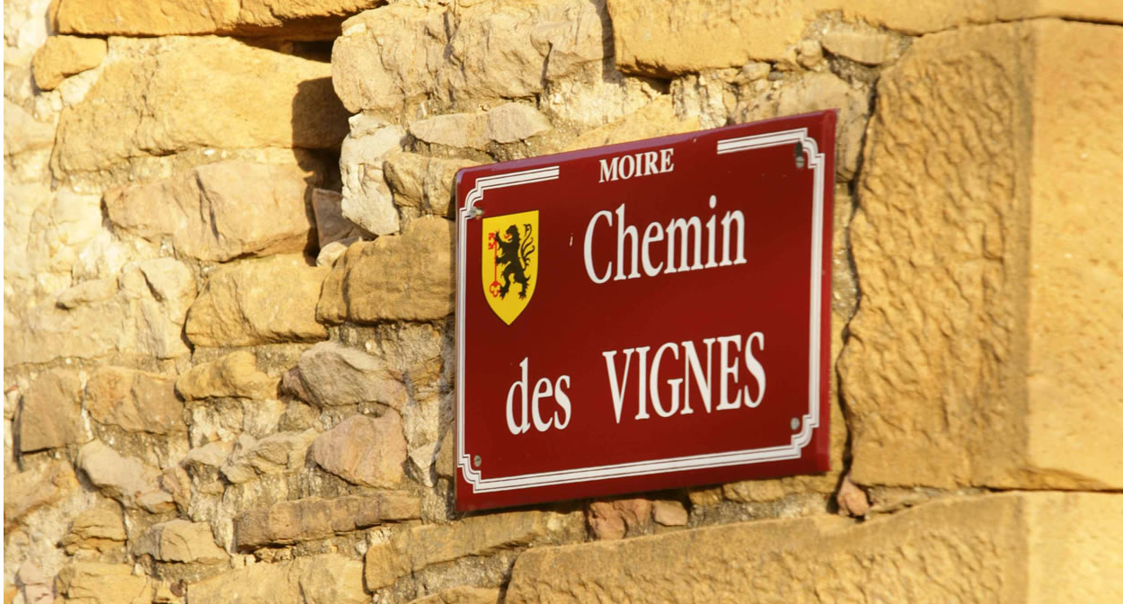 Chemin des vignes à Moire, Beaujolais des Pierres Dorees © Daniel Gillet Inter Beaujolais