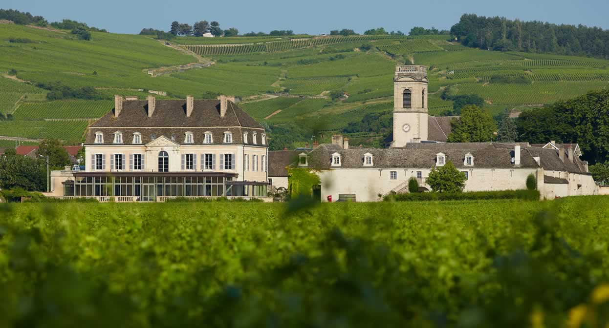 Unravel the mysteries of Burgundy’s diverse appellations and villages © Château de Pommard