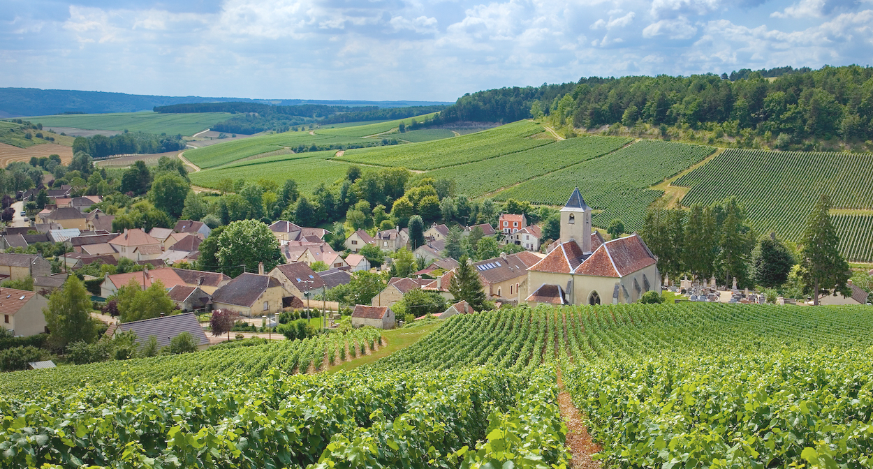 Moët & Chandon - Reims, France - Winery/Vineyard