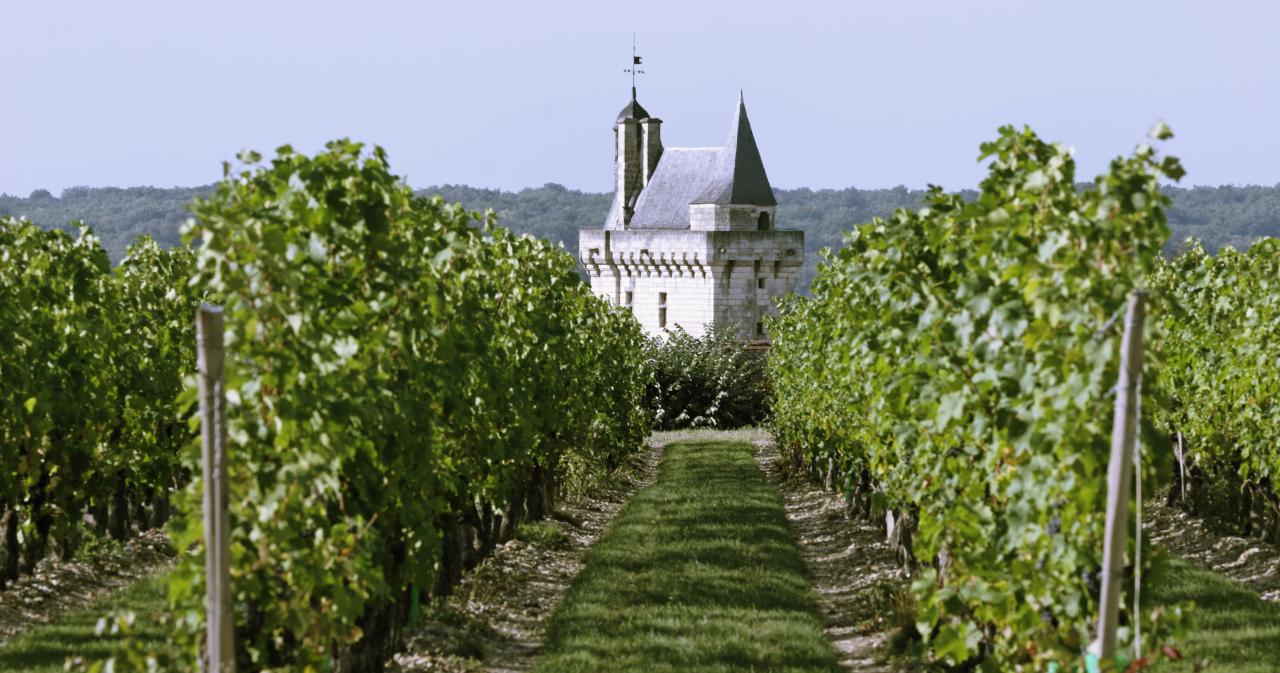 Château Chinon, Loire Valley