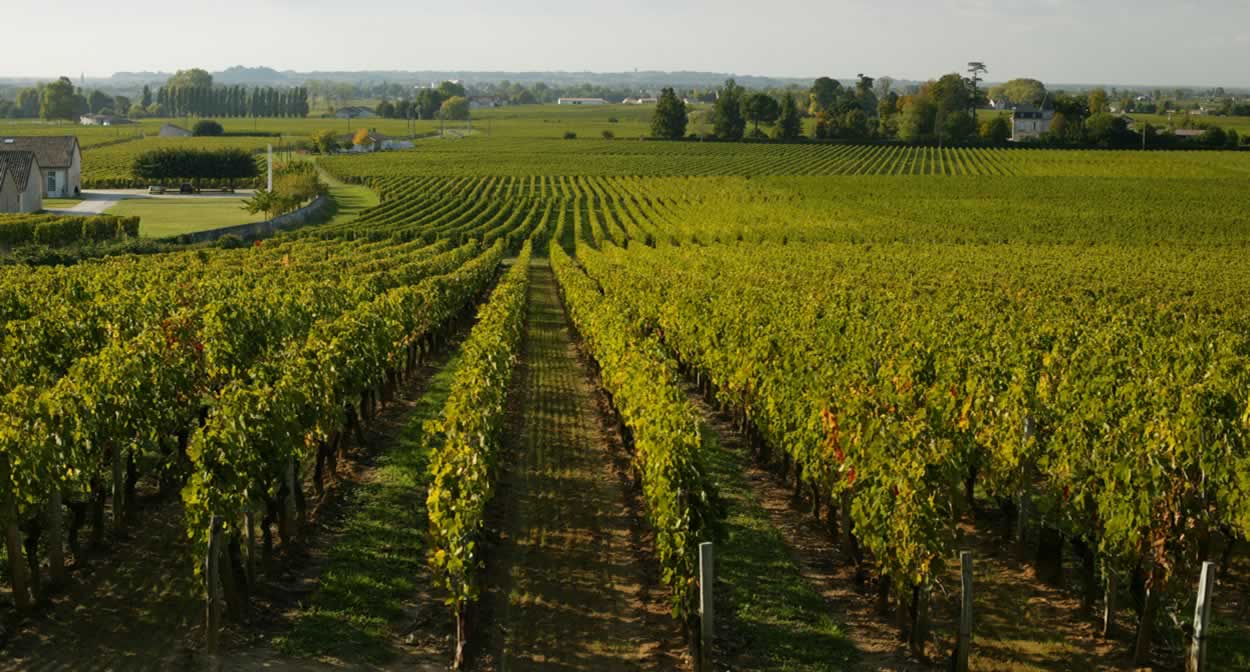 The vineyards of Saint-Émilion © Relais & Châteaux