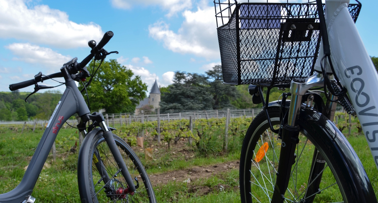 Vélos à assistance électrique dans le vignoble du Val de Loire ©Igers Bourgogne