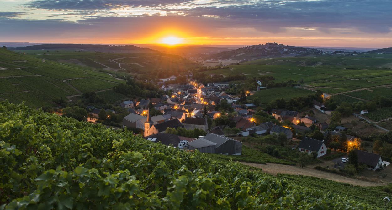 Côte des Monts Damnées, Sancerre, Loire Valley vineyard ©Henri Bourgeois