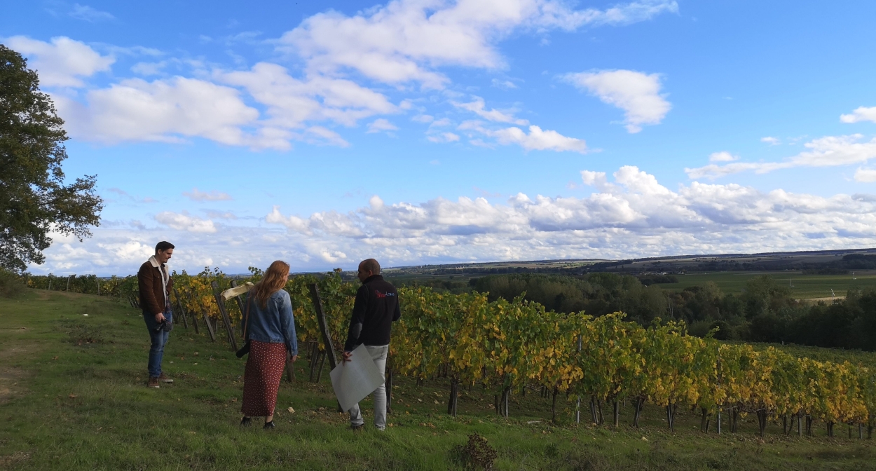 Balade dans les vignes ©A. Verger- CRT Centre Val de Loire