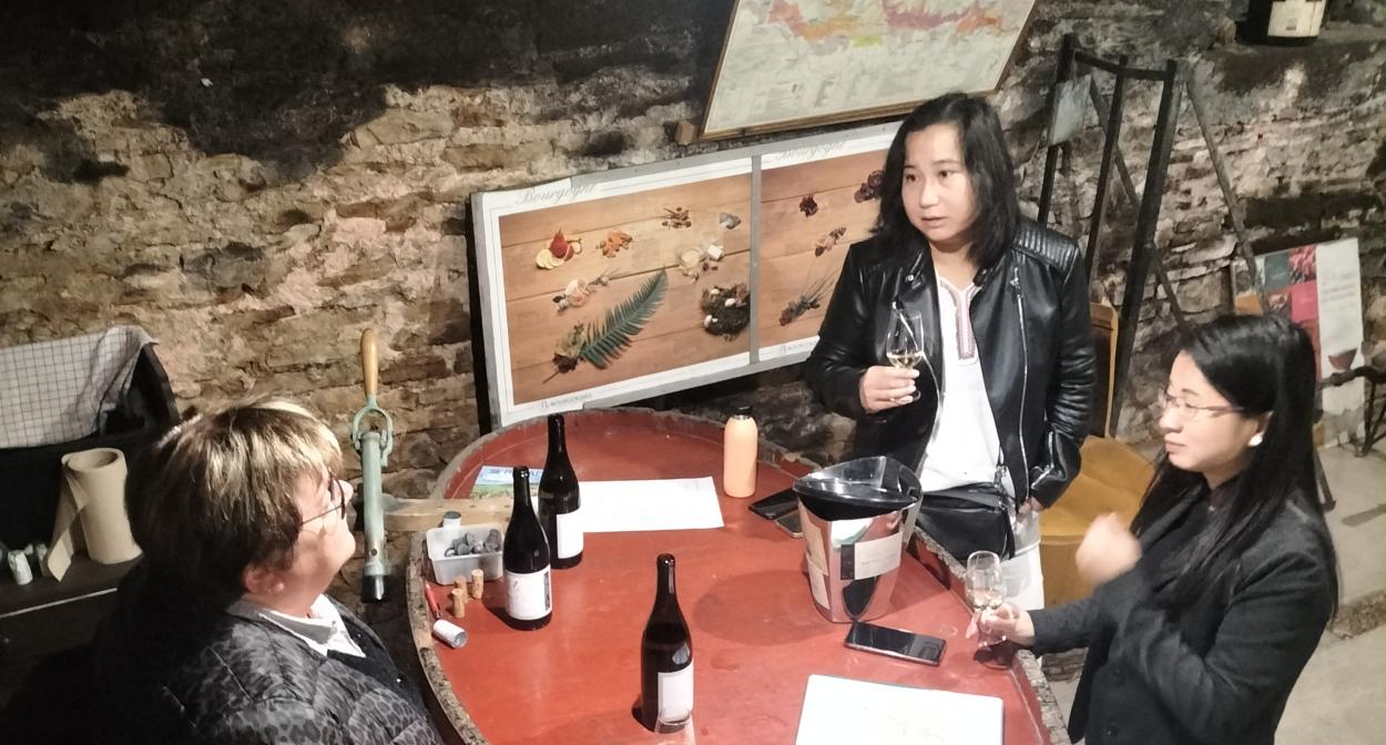 Dégustations de vins de Bourgogne dans le vignoble @ PasduVigneron