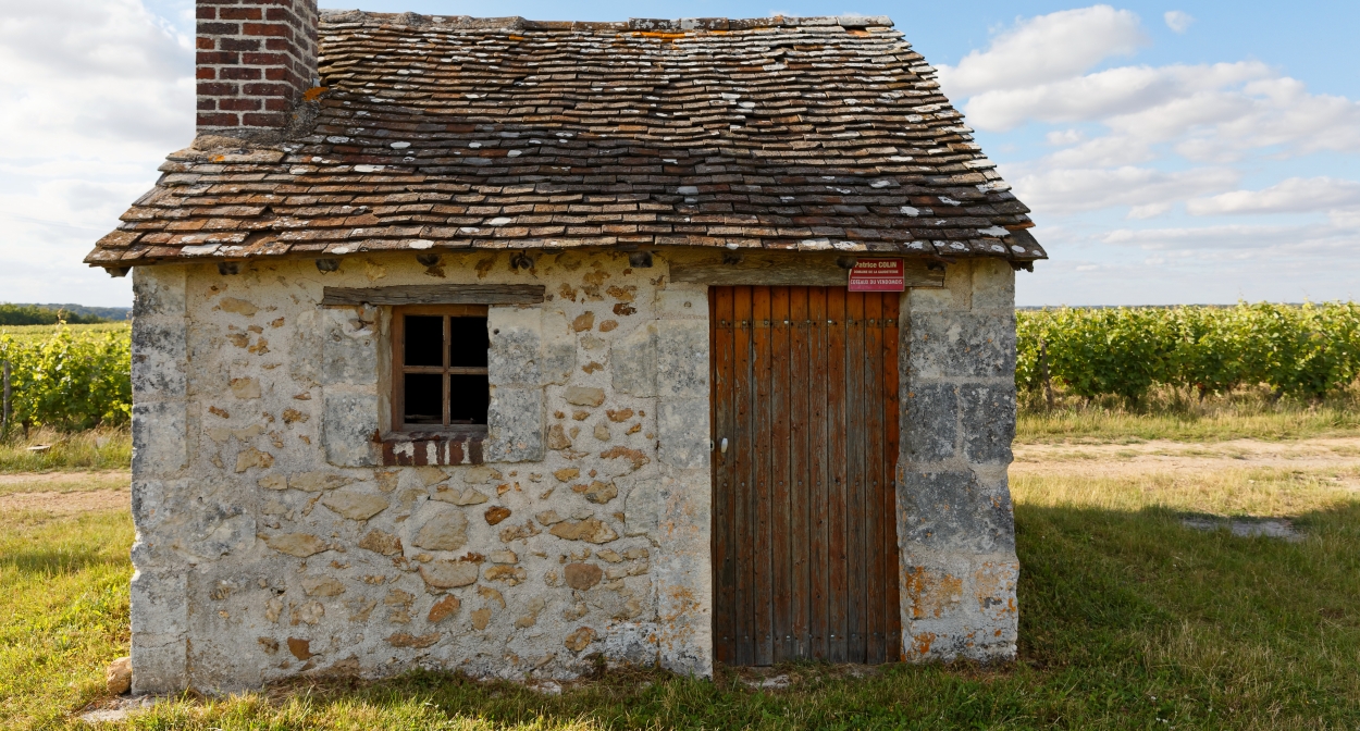 Maison de vignes au Domaine Colin, à Thoré-la-Rochette. AOC Coteaux du Vendômois © Mouton Christophe