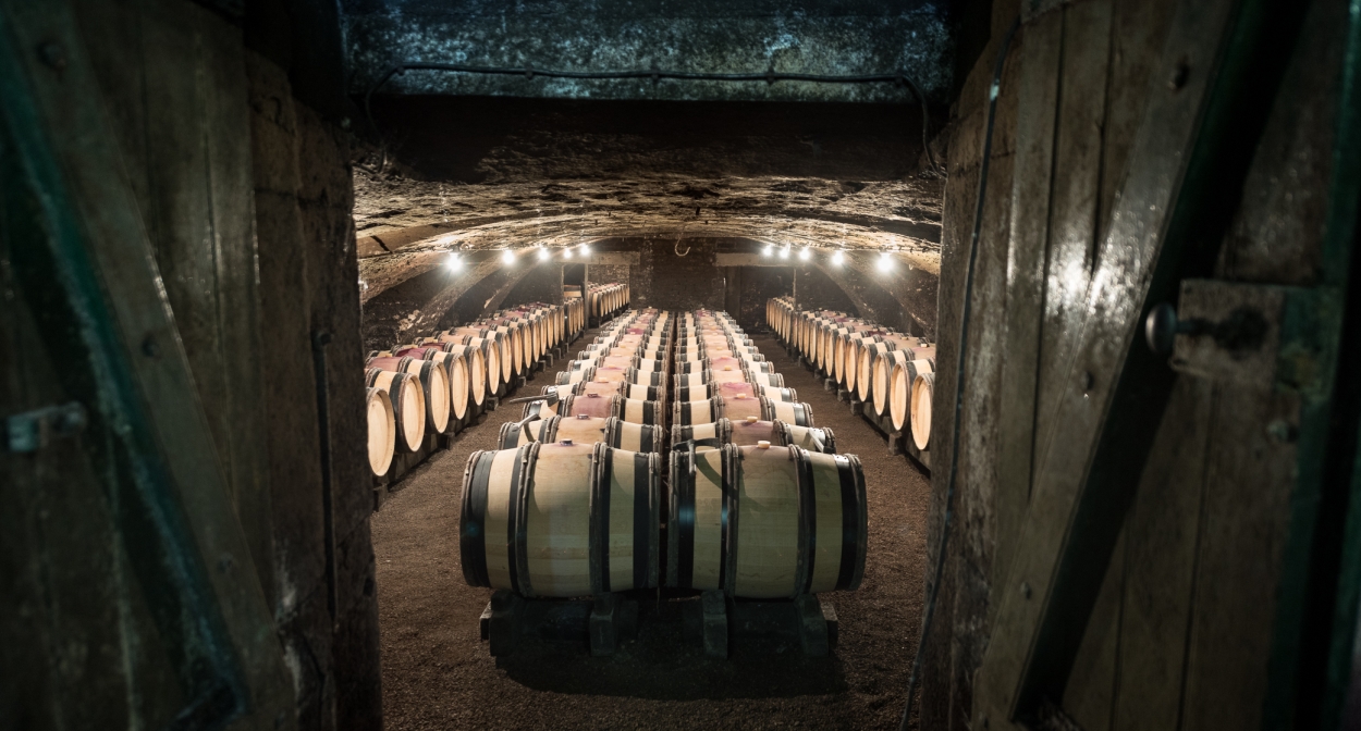 Visit wine cellars in Burgundy © Domaine Jeannin-Naltet