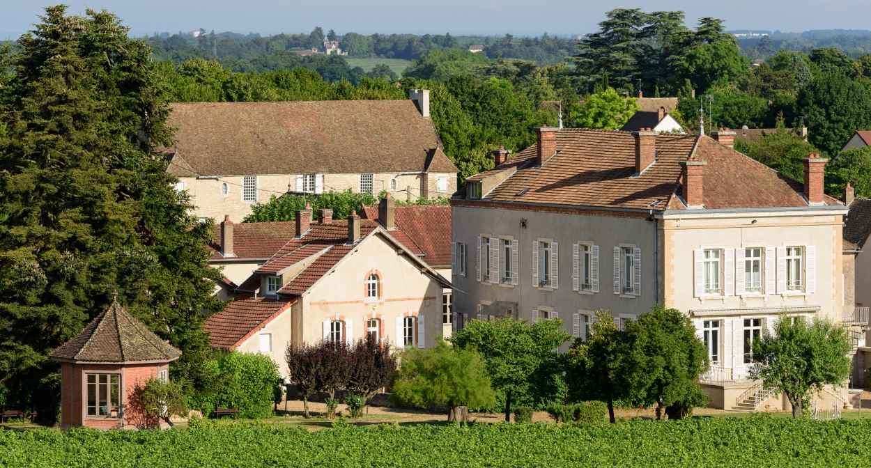 Family-run wine estate in Burgudny © Domaine Jeannin-Naltet