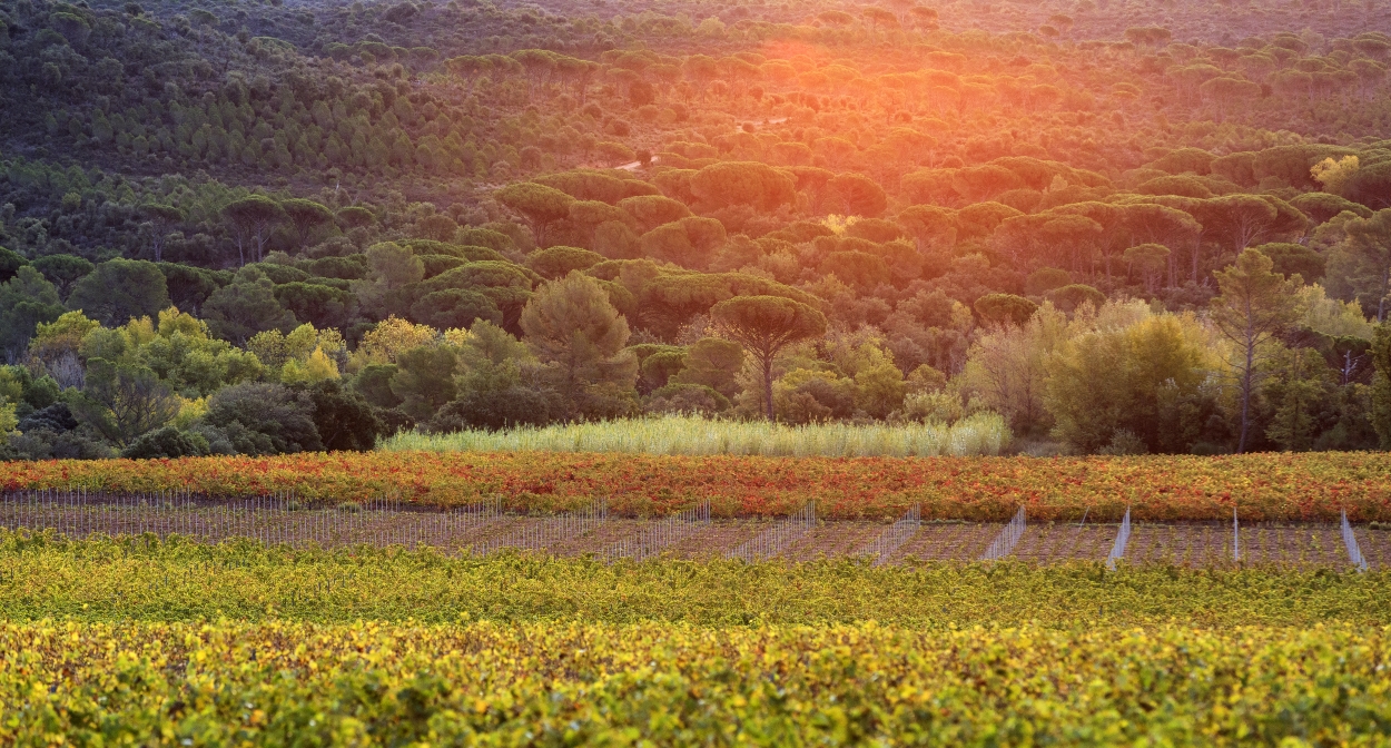 The landscapes of Dracénie Provence Verdon © Dracénie 