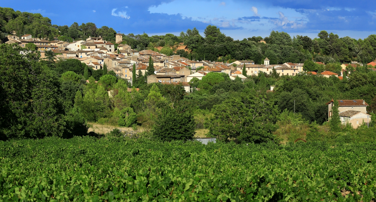 LThe vineyard of Dracénie Provence Verdon © Dracénie