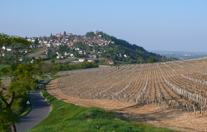 Vineyard of loire valley sancerre wine ©Julie Roumet