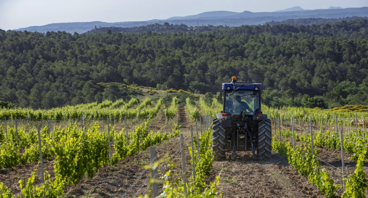 Une production viticole bio et raisonnée © François Xavier Emery, OTC DLVA
