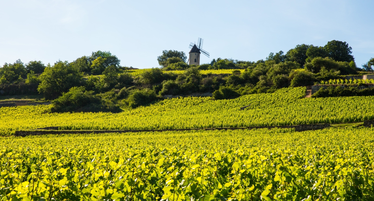 Séjourner dans le vignoble de Bourgogne © Gerard Leblanc