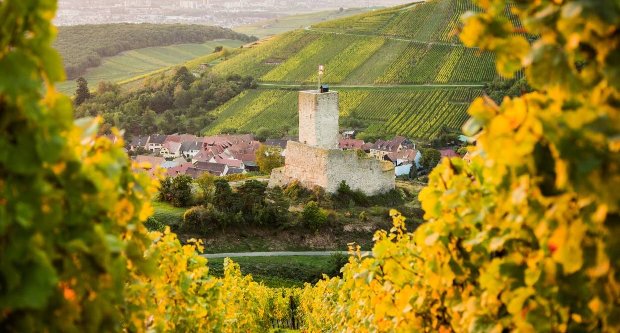 Le château de Wineck-Schlossberg à Katzenthal © VUANO-ConseilVinsAlsace