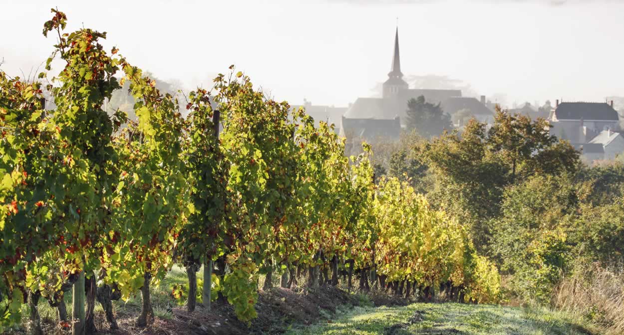Savennières vineyards ©Relais & Châteaux