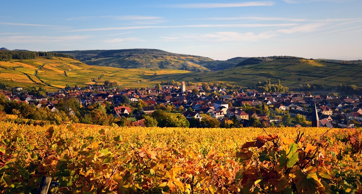 Discover Orschwihr in the vineyard of Alsace © Vincent SCHNEIDER - ADT.jpg