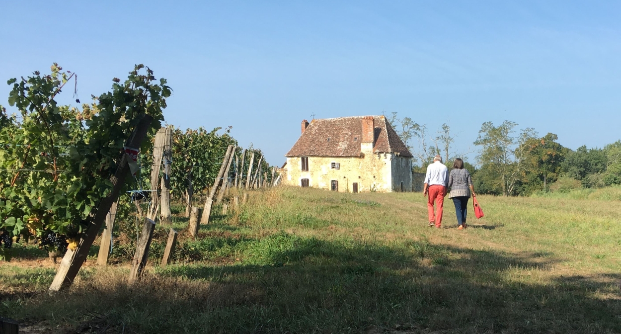 Hiking in the vineyards of Bergerac and Duras © IVBD