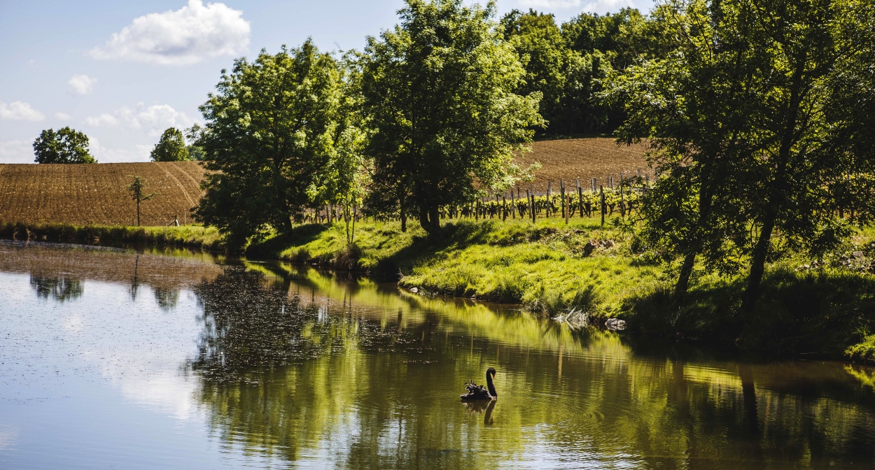 The wine region of Bergerac & Duras, biodiversity reservoir © Loïc Mazalrey