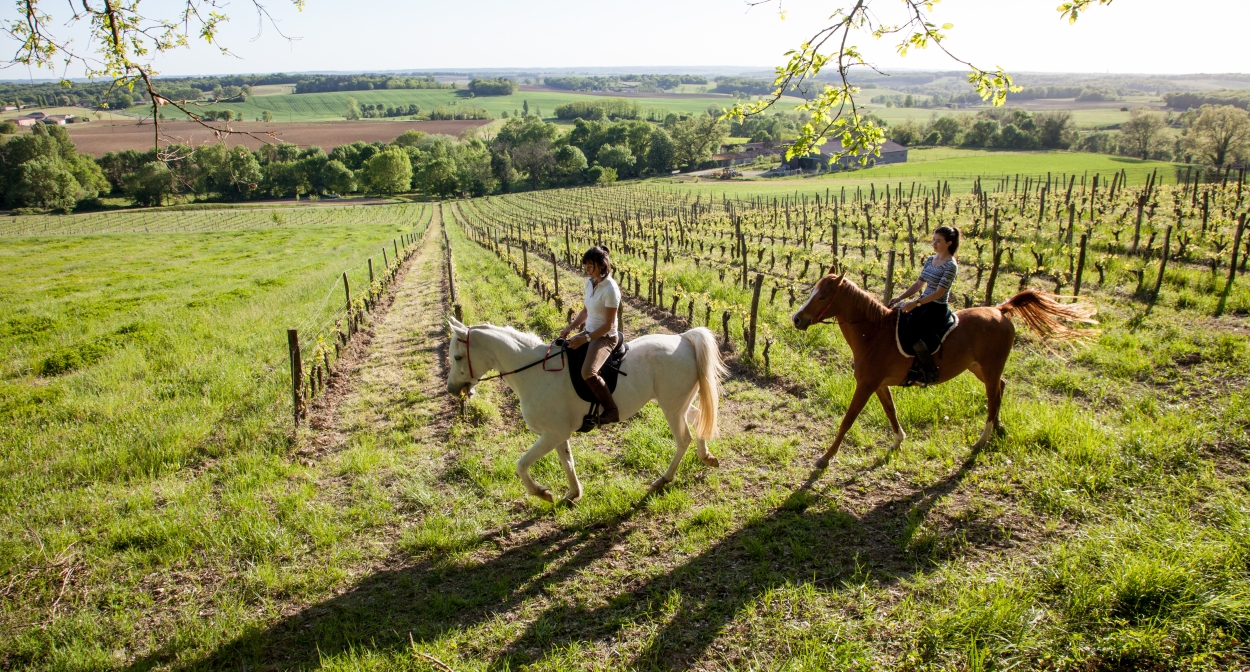 Horse back riding through the vineyards © Interprofession des Vins de Bergerac et de Duras