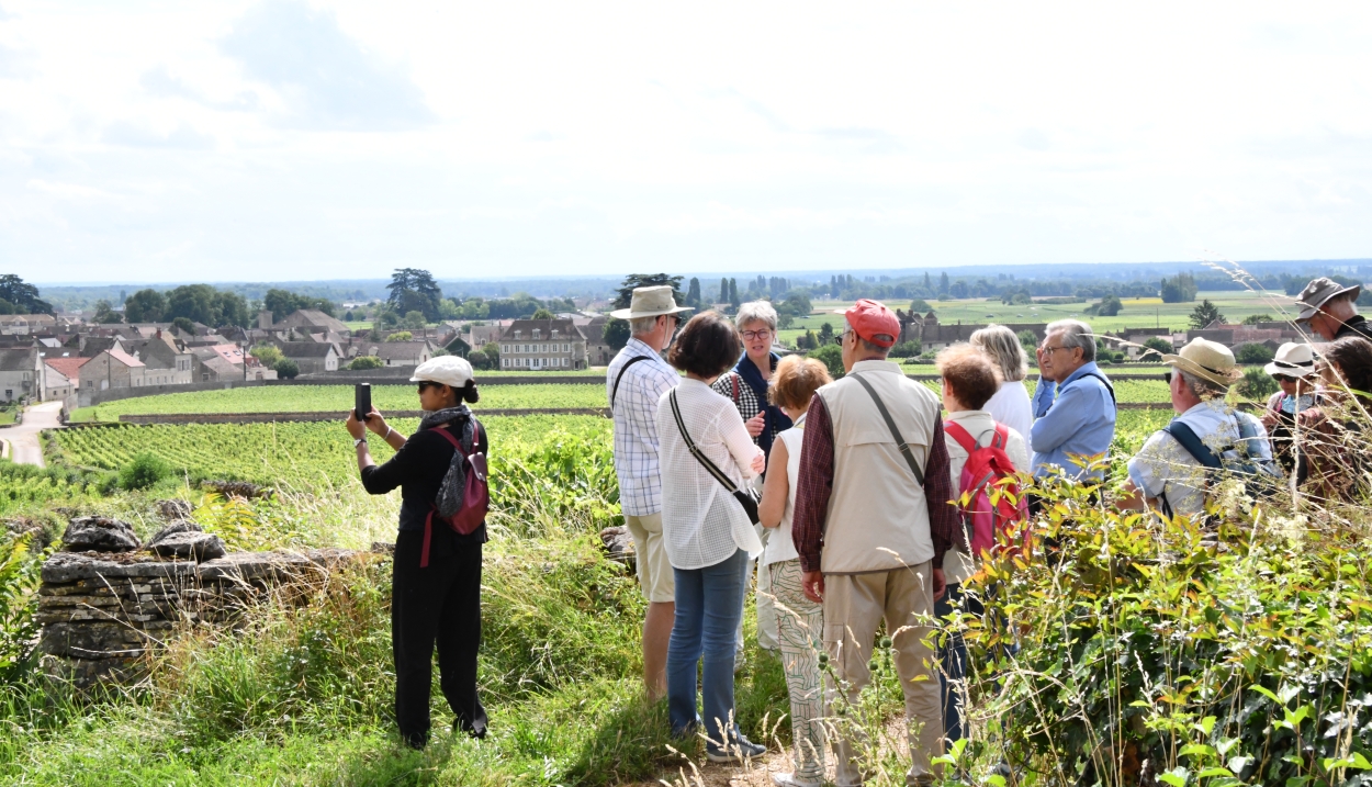 Balade commentée dans les vignes et les villages de Bourgogne © Moïse Mayo.JPG