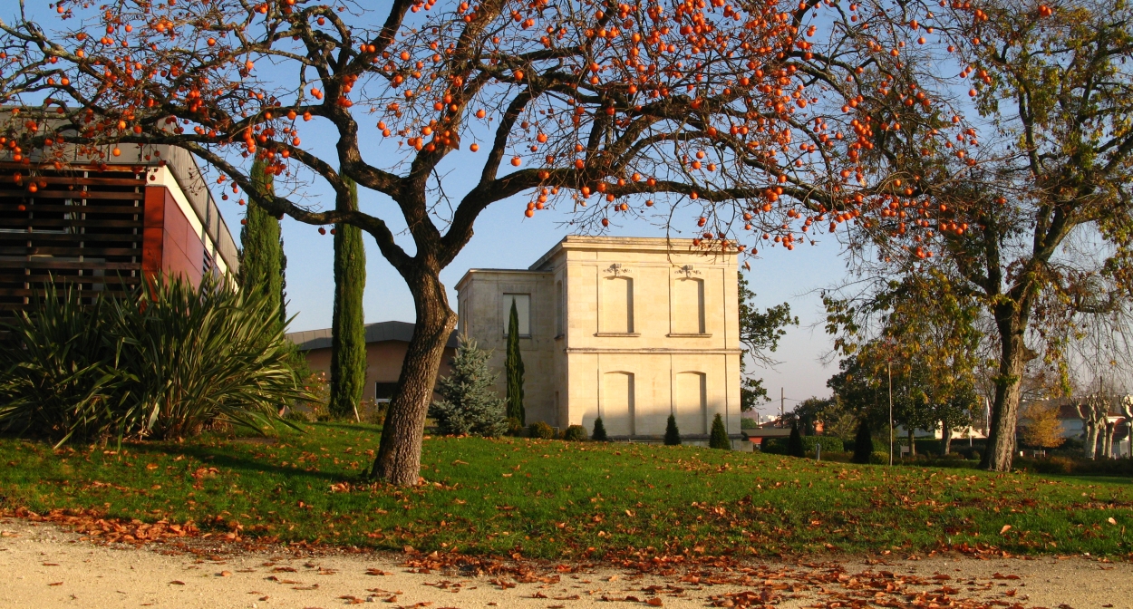 Visite du Château Luchey Halde © Savinien Groshens