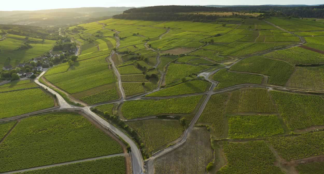The secrets behind Burgundy's success are unearthed during the Climats Experience © Château de Pommard