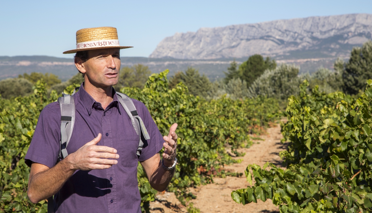Hiking in the vineyard of Provence © S. Spiteri