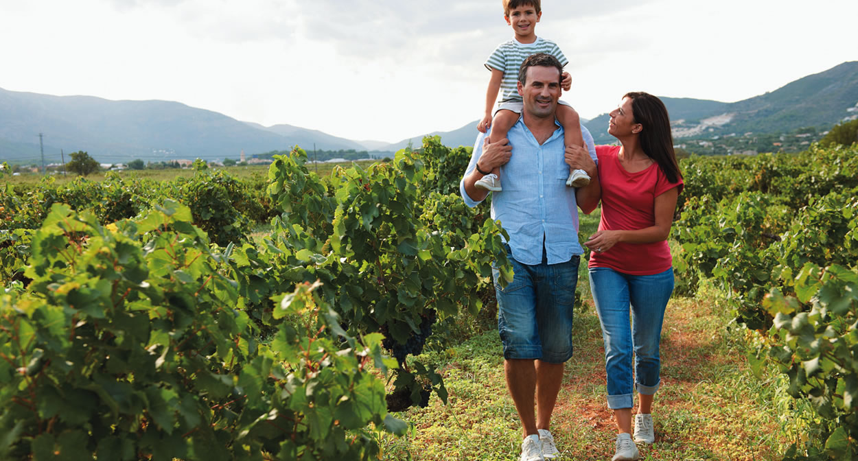Les Vignerons Indépendants vous invitent à découvrir leurs domaines viticoles © Vignerons Indépendants de France