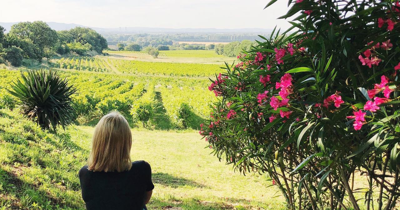 Contemplating the Rhône Valley vineyard ©Lavender fields in the Rhône Valley ©Ambitiouskitchen 