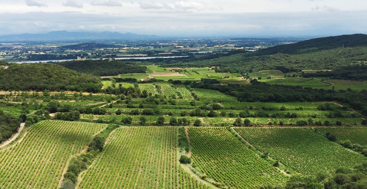 Les vignobles de la Vallée du Rhône selon Jeanine D'onofrio