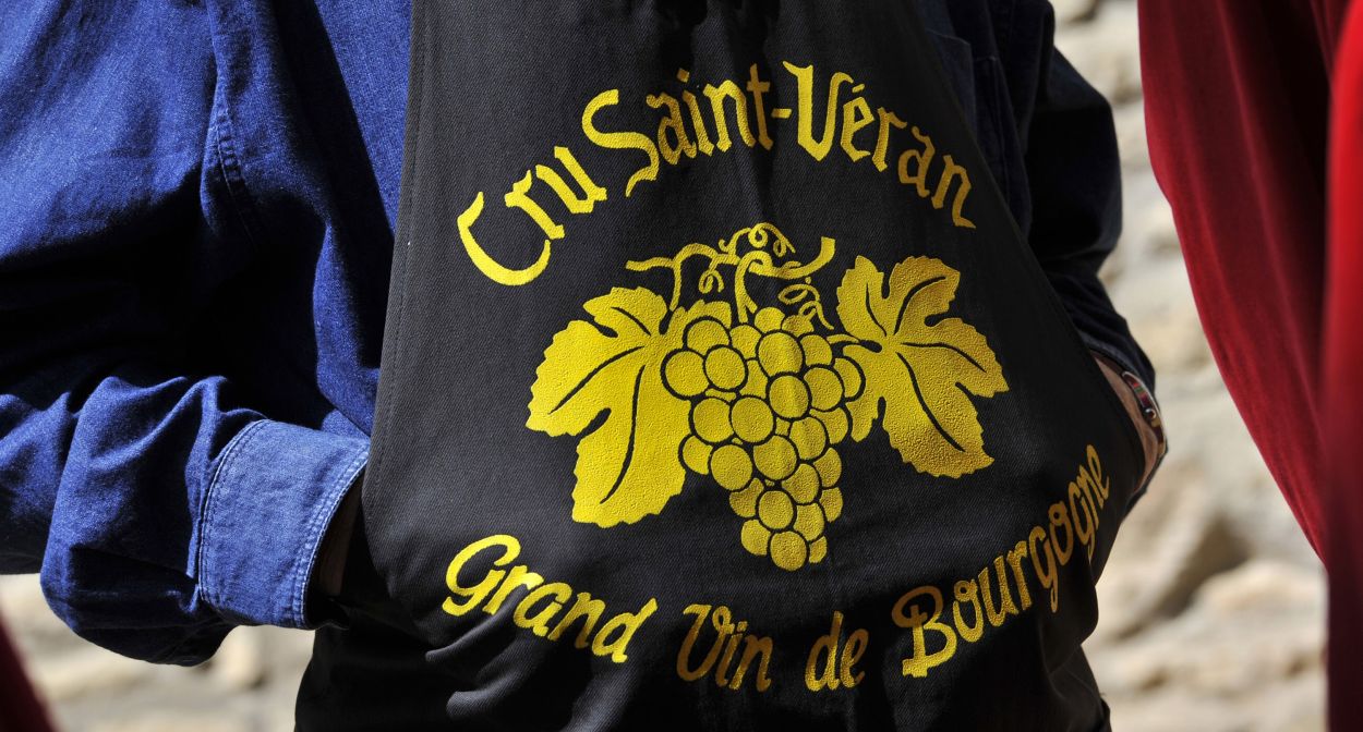 Enjoy the SaintVincent Wine Festival! The greatest destinations in