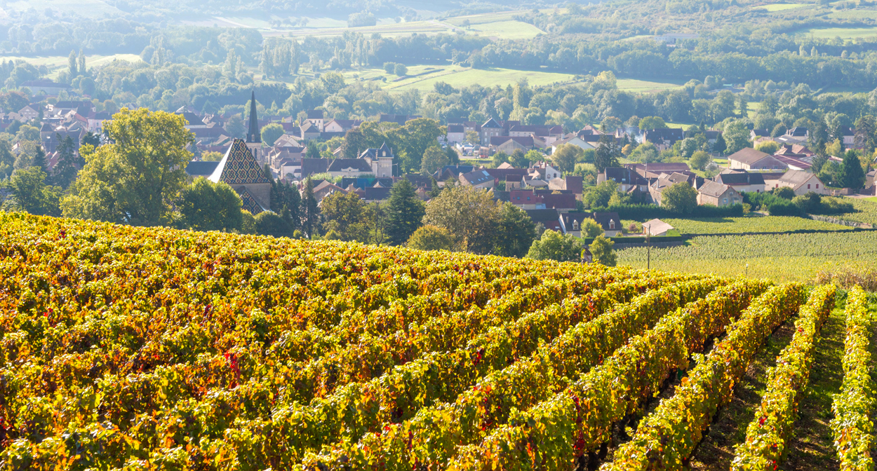 Santenay sur la route des vins de Bourgogne