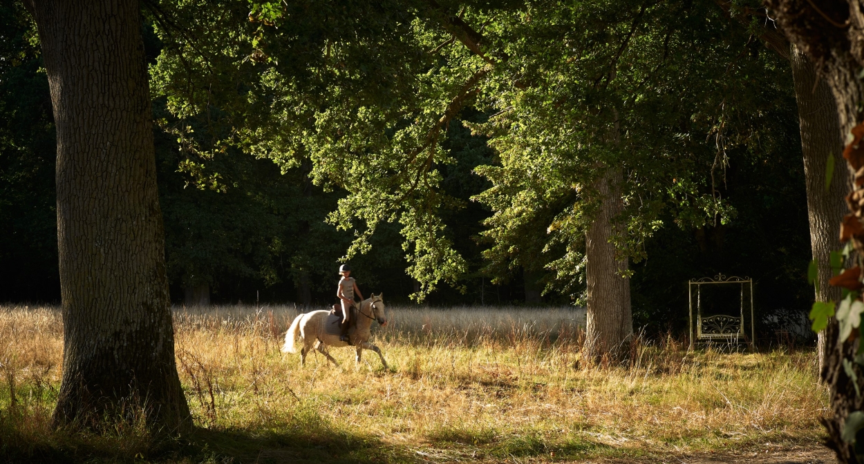 Balade à cheval aux Sources de Cheverny © MPMorel-2020