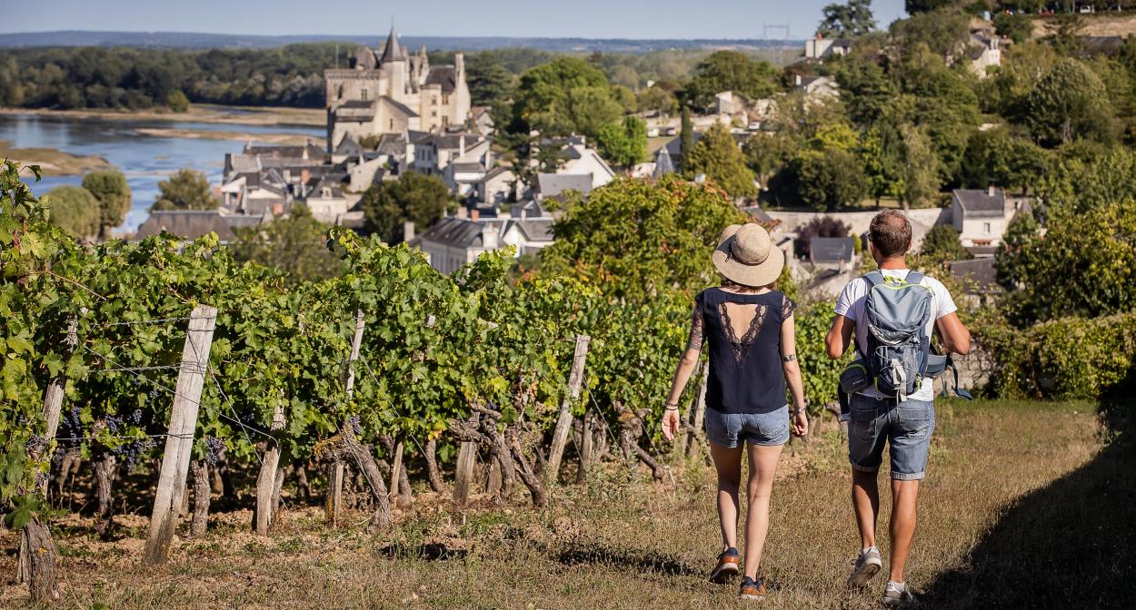 Balade dans les vignes en Anjou © M. Chaigneau