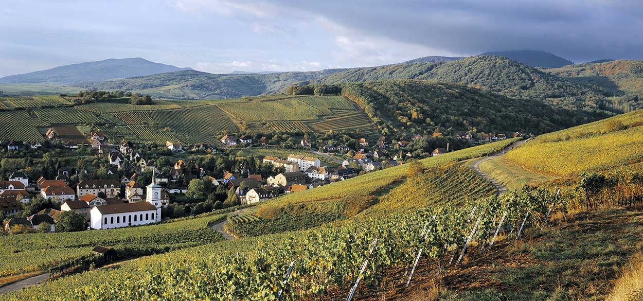 Châteaux forts, vins d'Alsace et gastronomie en Pays de Barr