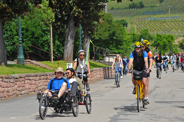 Slow up wine route in alsace bike fine food ©C. Fleith