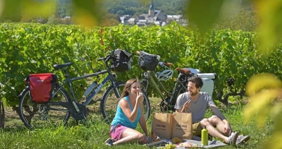 A vélo dans le vignoble de la Vallée du Loir - Chahaignes © J. Damase