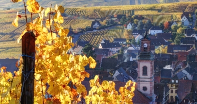 Riquewihr and its vineyards © Ophorus