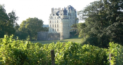 Chateau de Brissac, Loire Valley vineyard © Christian Vital