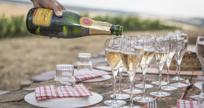 Wine tasting in the vineyard of Champagne ©Olivier_Frajman_Protographe
