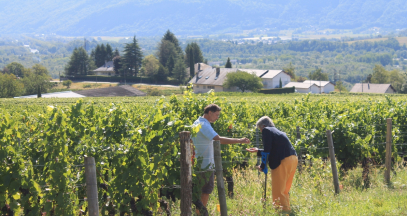 Rencontre avec un vigneron dans les vignes de Savoie © Camille Faure-Brac