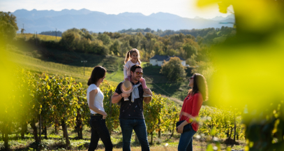 Visit the vineyard of Jurançon ©P.Carton