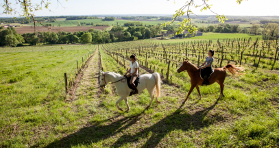 Balade à cheval dans le vignoble © Interprofession des Vins de Bergerac et de Duras