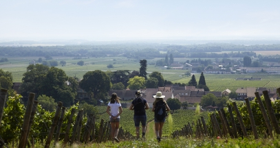 Walks in the vines of Bourgogne ©BIVB Les créations de l'étoile - Louise Barillec
