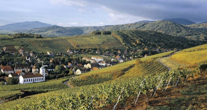 Châteaux forts, vins d'Alsace et gastronomie en Pays de Barr ©Z-Vardon-conseil-vins-alsace
